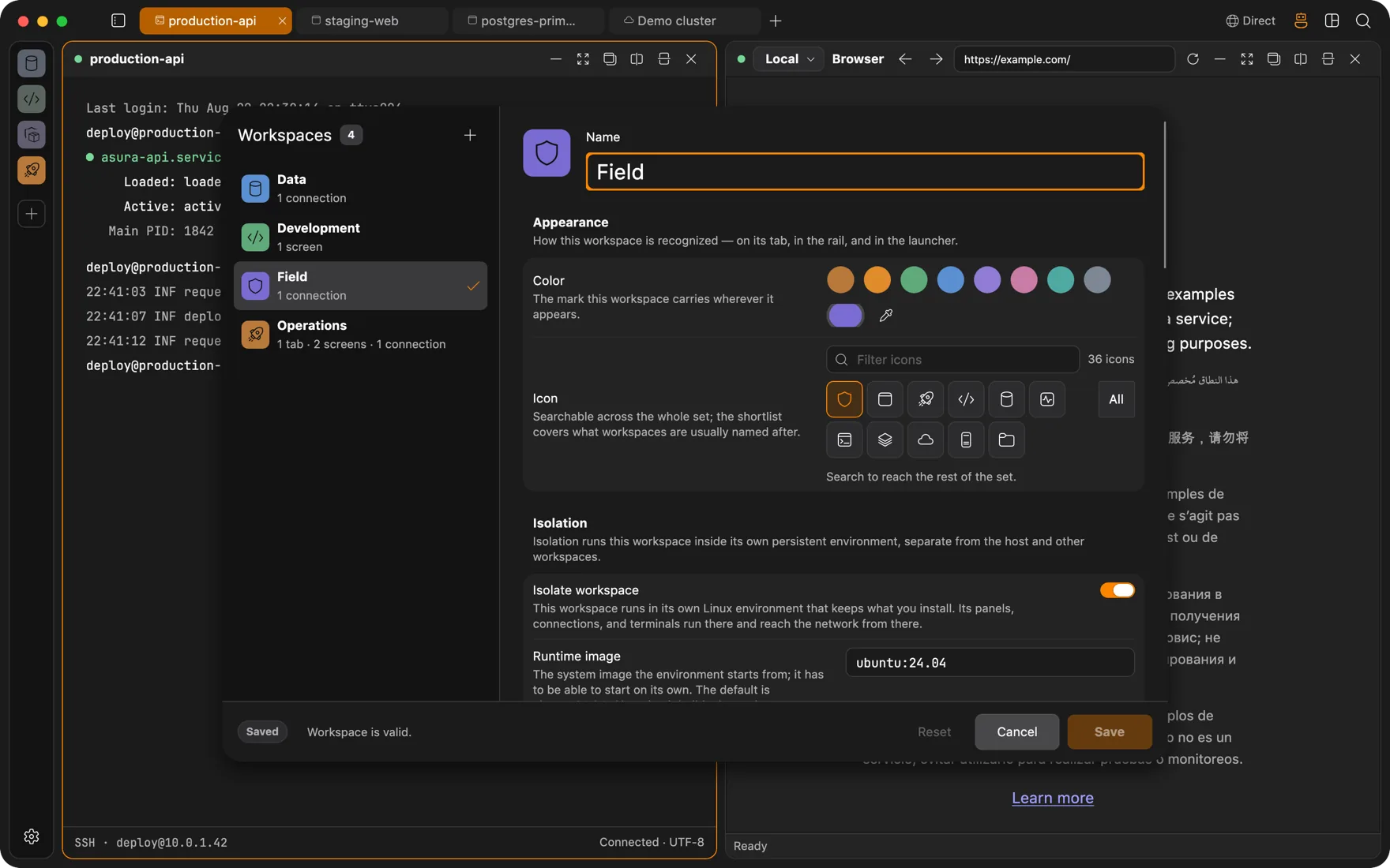 Workspace editor with the Isolate workspace switch and host mount options